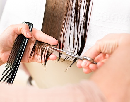 頑張った分だけ、しっかり収入につながる